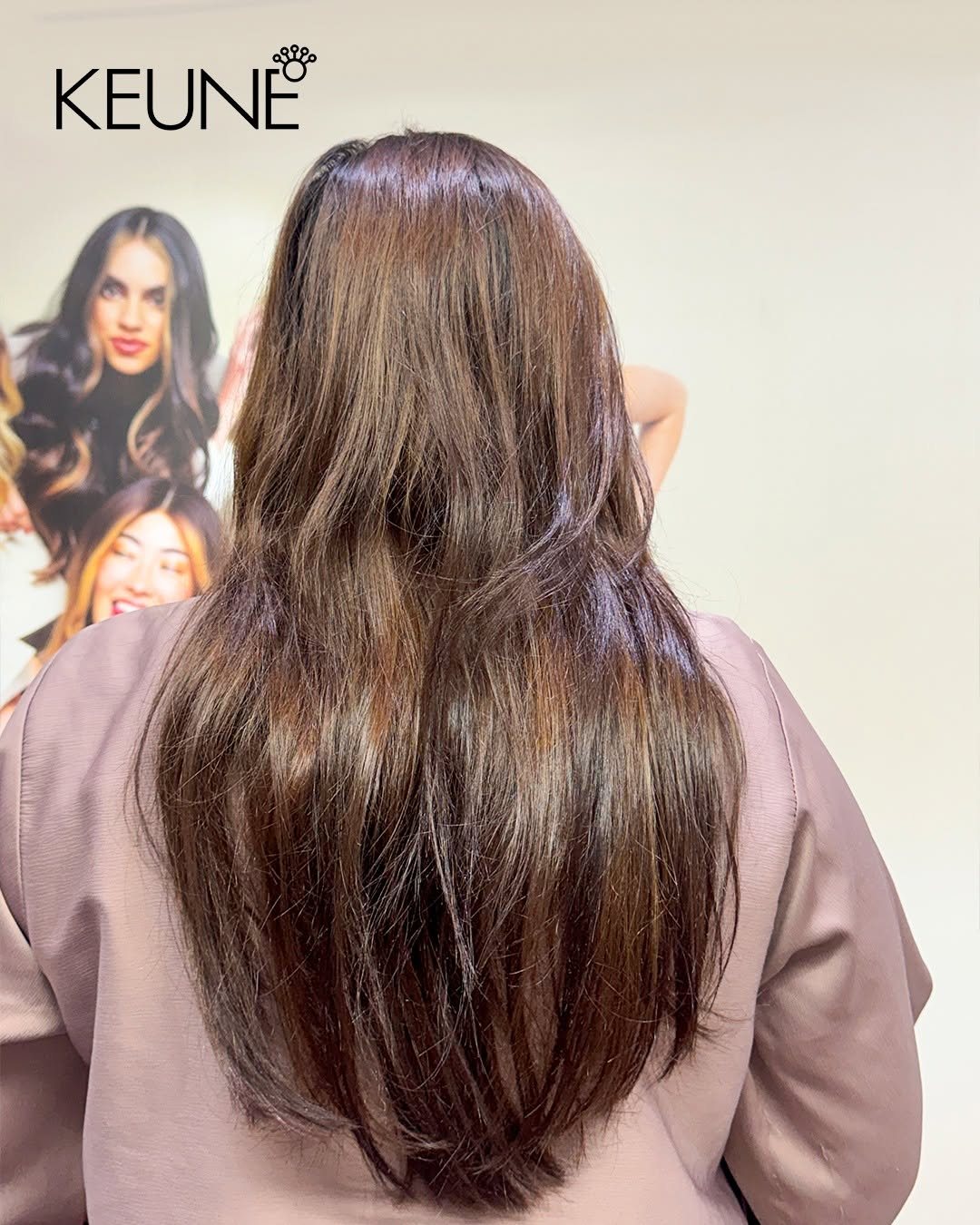 Before: long warm brown hair, before a KEUNE balayage